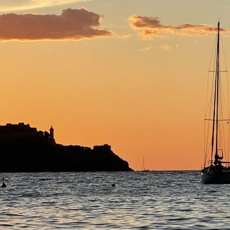 20220909_173547684_iOS